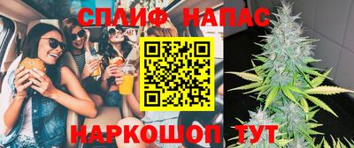 гидра Камышлов